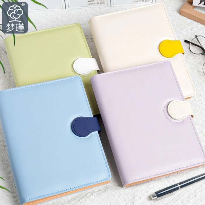 Ensemble de planificateur de journal à feuilles mobiles